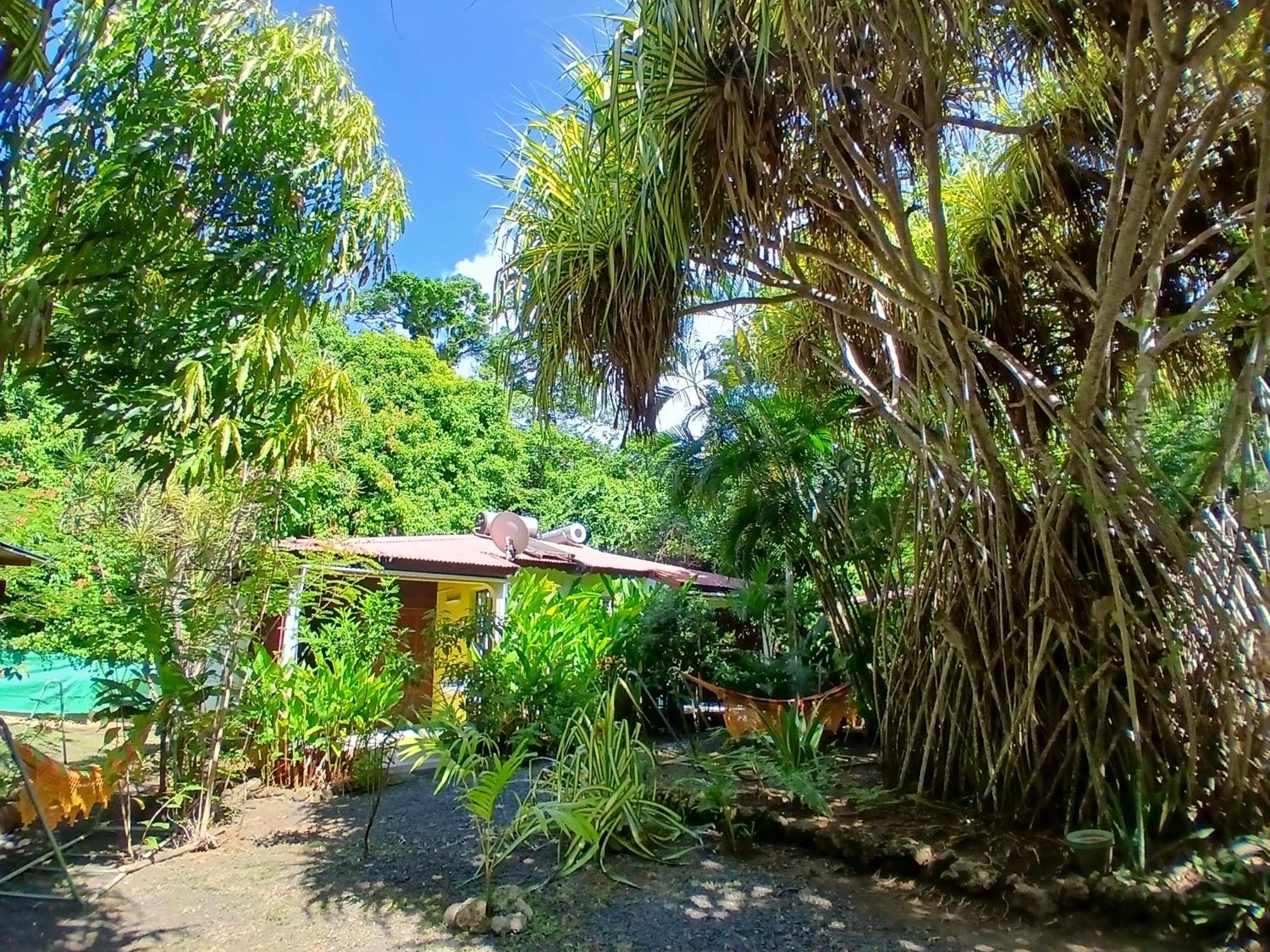 Residence Les Manguiers Pointe-Noire Kültér fotó